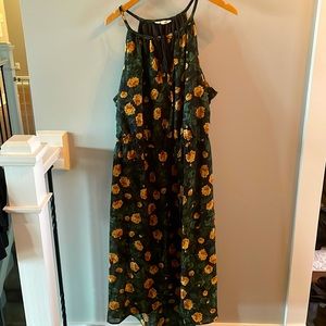 Hint of blush, high low dress 2X